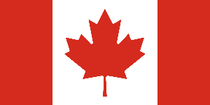india-flag
